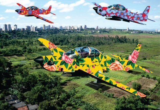 pitiu-bomfin-aviao-chita