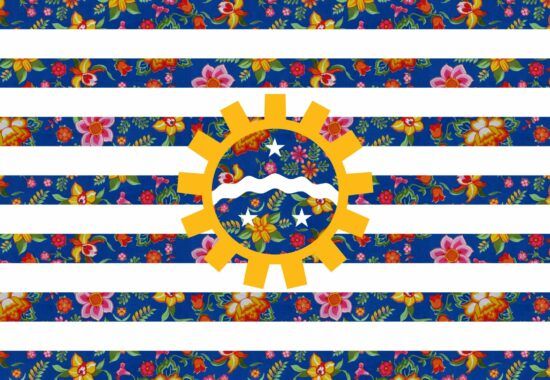 Chita ate’ bandeira
Técnica: estampa digital sobre fotografia impressa em papel algodão
Dimensão: A2
2016