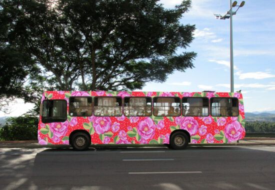 pitiu-bomfin-onibus2-1024x724