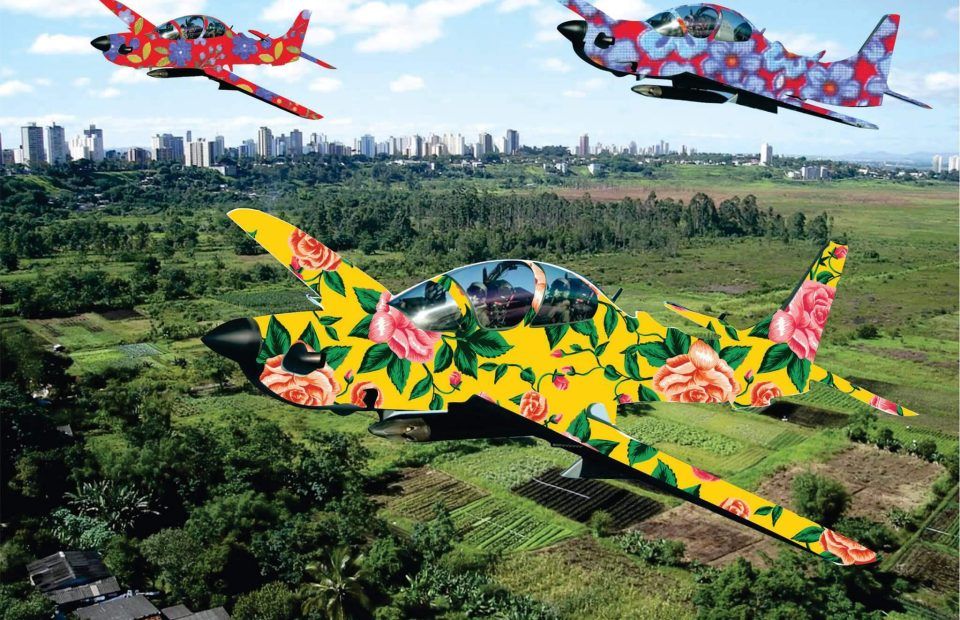 pitiu-bomfin-aviao-chita